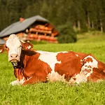 Lägenhet Bio Bauernhof Oberhinterberg *