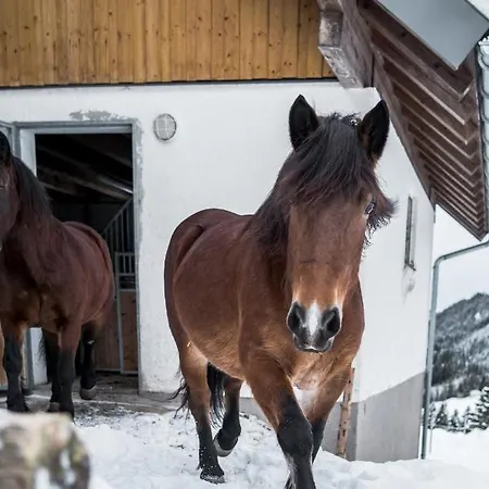 Апартаменты Bio Bauernhof Oberhinterberg *