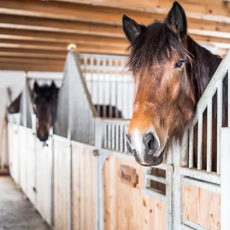 Bio Bauernhof Oberhinterberg *