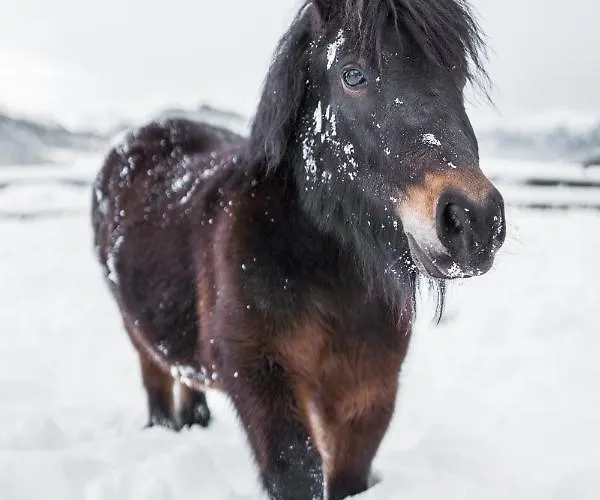 Bio Bauernhof Oberhinterberg Annaberg im Lammertal