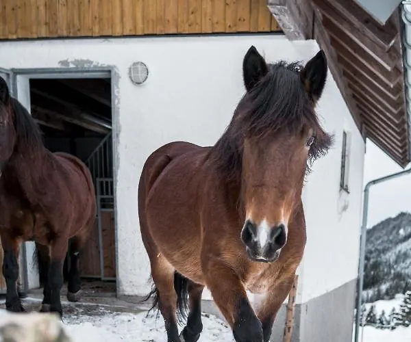 Lejlighed Bio Bauernhof Oberhinterberg *
