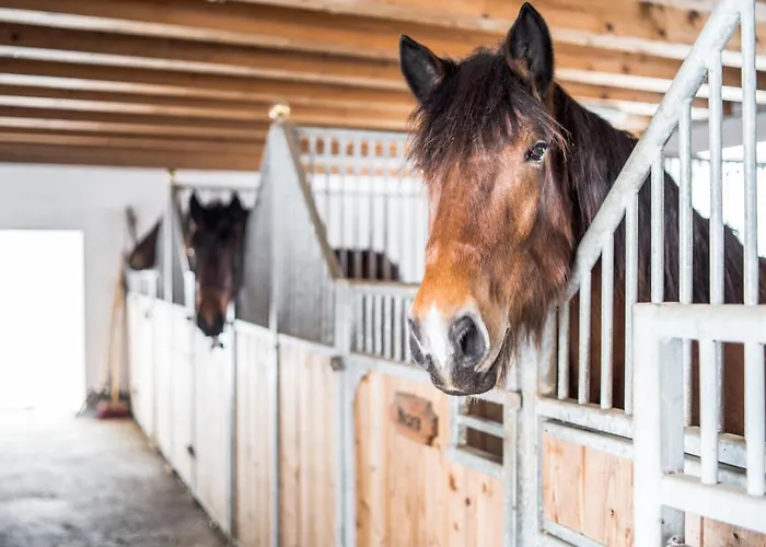 Bio Bauernhof Oberhinterberg *