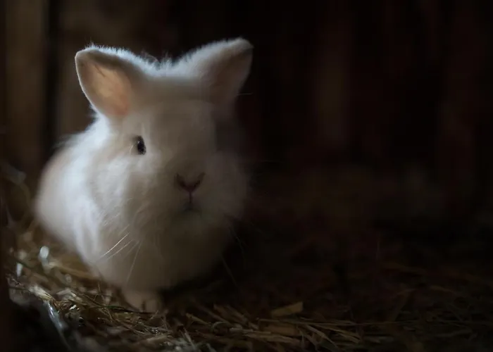 Bio Bauernhof Oberhinterberg